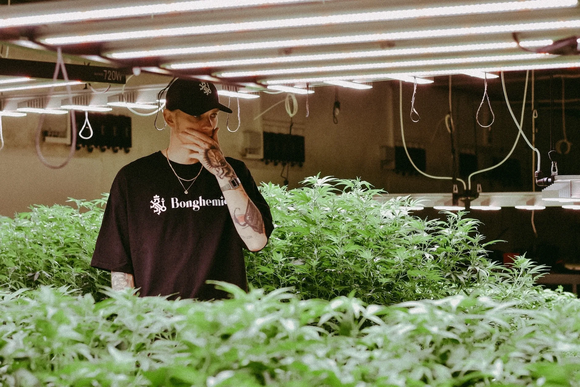 Grow lifestyle