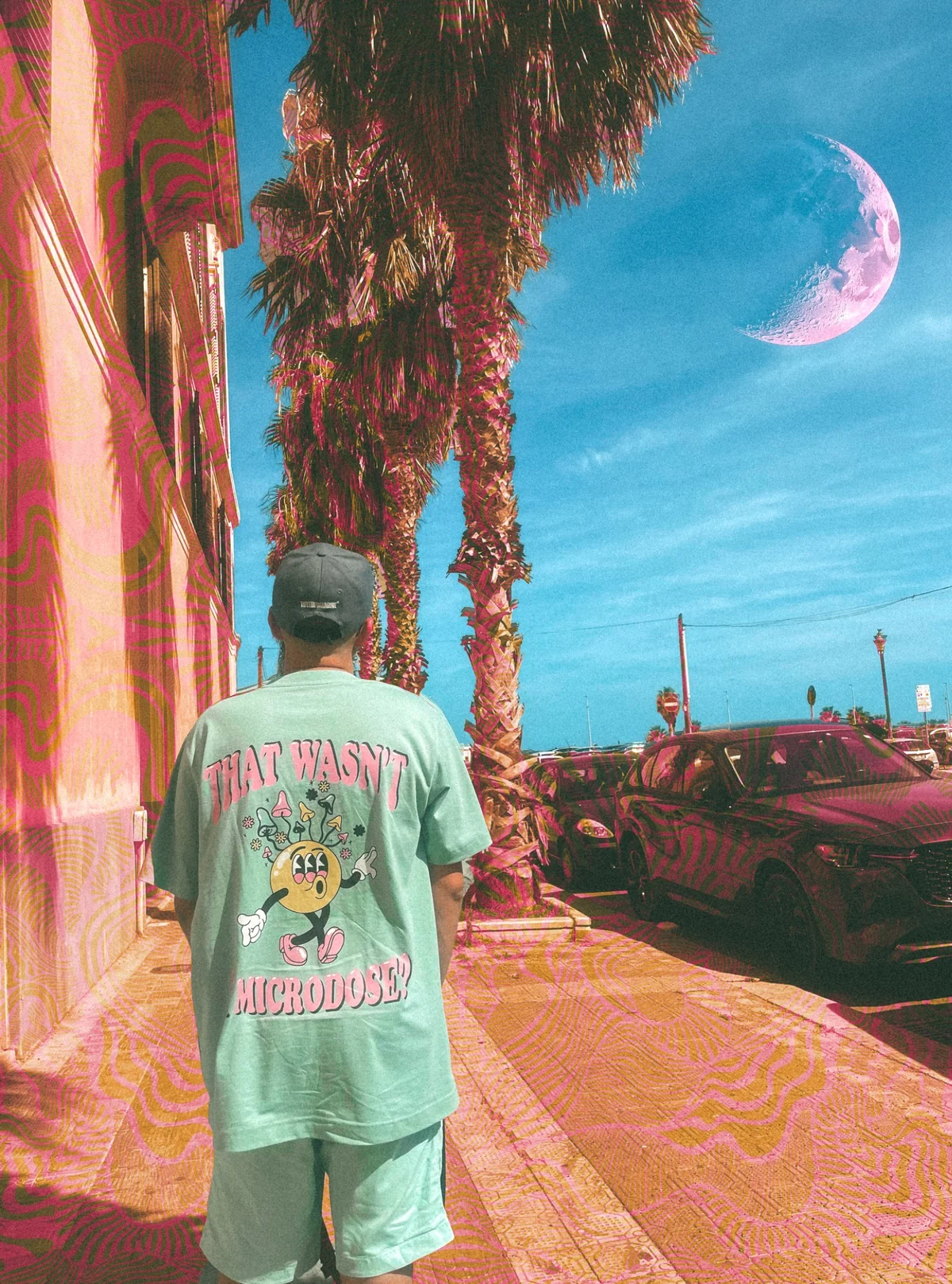 houby.space palm visual