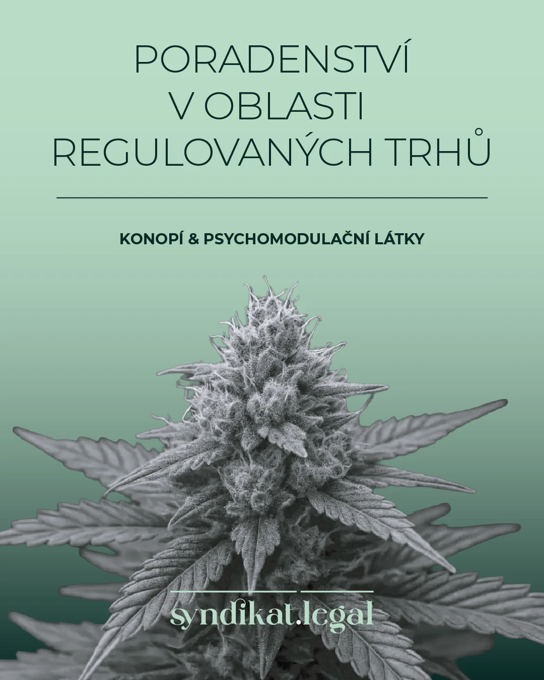 syndikat.legal vizuál poradenství v regulovaných trzích